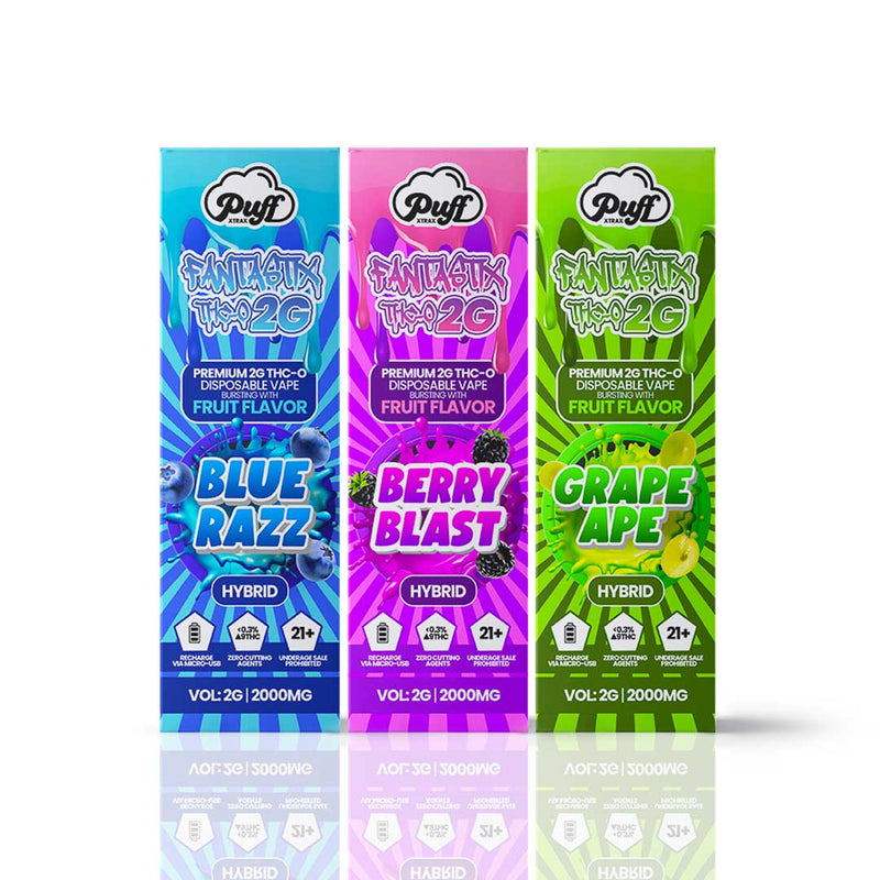 Fantastix 2G Disposable Vape: Grape Ape | Puff Xtrax
