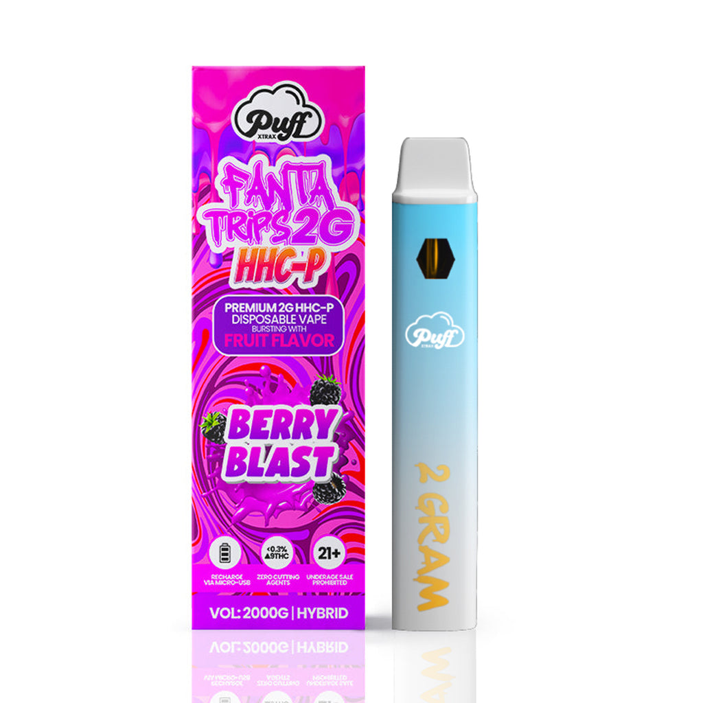 FantaTrips HHC-P Stix 2G Disposable Vape: Berry Blast | Puff Xtrax