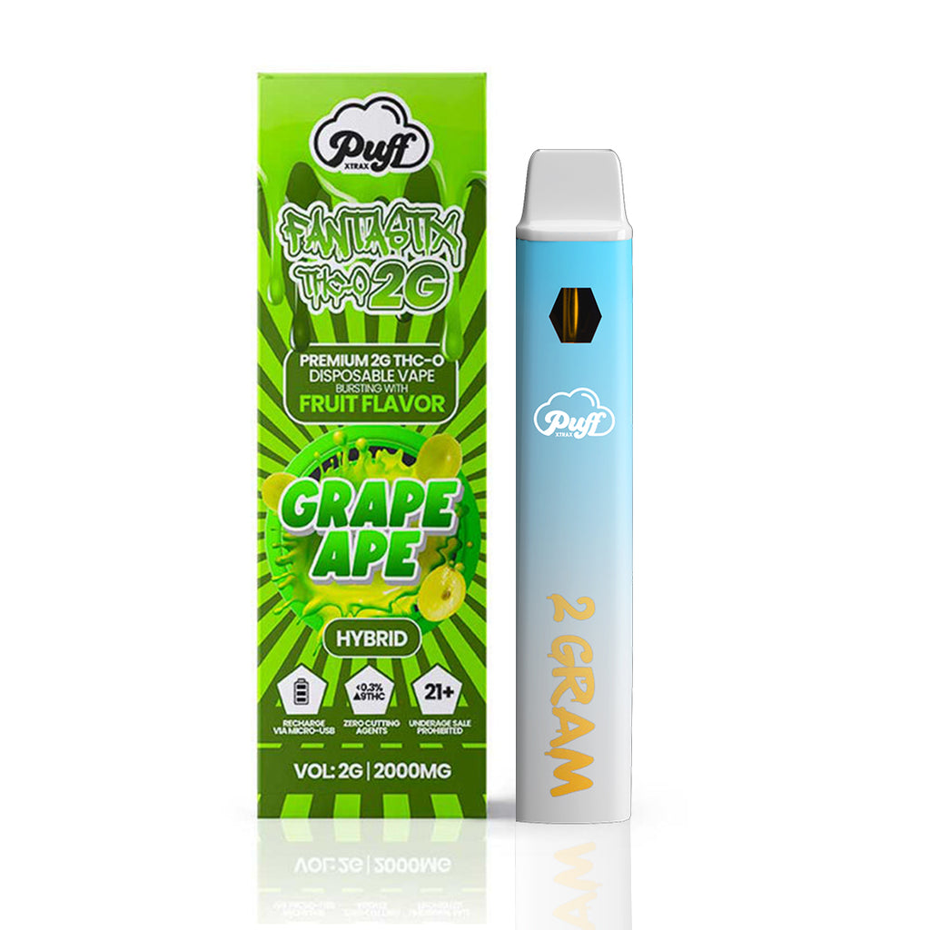 Fantastix 2G Disposable Vape: Grape Ape | Puff Xtrax